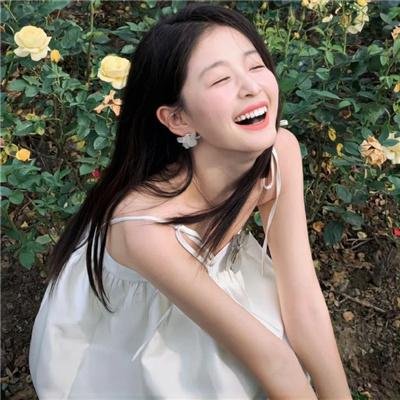 忍冬玫瑰